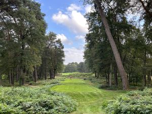 Fontainebleau 15th Tips